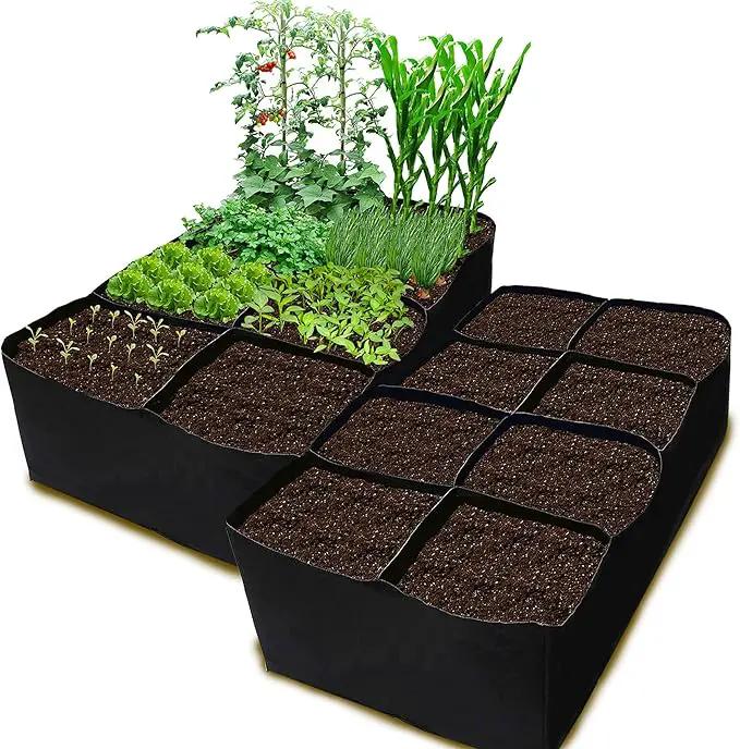 CJGQ 2 Pack Fabric Raised Garden Bed 6x3x1ft Garden Grow Bed Bags for Growing Herbs, Flowers and Vegetables 128 Gallon… by GreenHaven Gardens