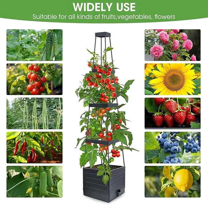 Raised Garden Bed Planter Box with Trellis, 58” Tomato Cage Planter Raised Garden Bed with Trellis for Climbing Vegetables Plants Tomato Cage w/Self-Watering, Indoor Outdoor Use (2) by GreenHaven Gardens