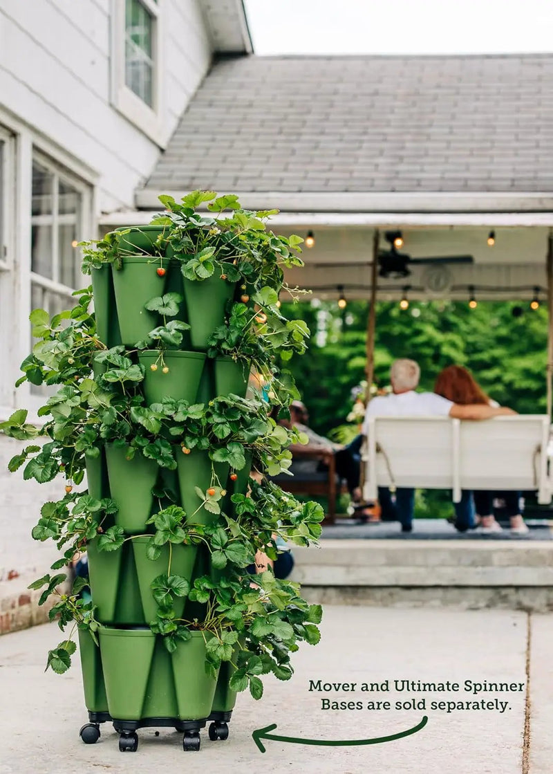 Greenstalk Patented Large 5 Tier Vertical Garden Planter with Patented Internal Watering System Great for Growing a Variety of Strawberries, Vegetables, Herbs, & Flowers (Evergreen) by GreenHaven Gardens