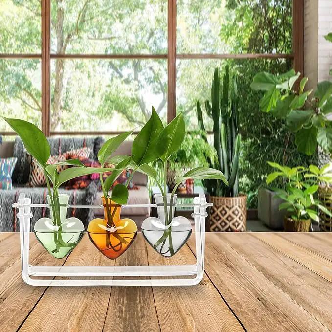Plant Terrarium Propagation Stations with Acrylic Stand Birthday Gifts for Women Plant Stand Indoor Office Home Decor by GreenHaven Gardens