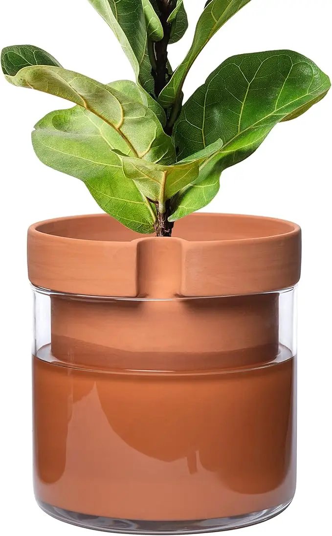 Phoenix Vine 10 Inch Self Watering Planter Pot, Terracotta Clay Pot with Glass Reservoir for Indoor Plants, Herbs, Flowers, Set of 1, 52-A-I-1 by GreenHaven Gardens