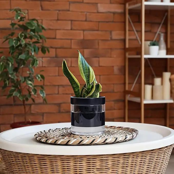 Phoenix Vine 6 Inch Self Watering Terracotta Planter, Black Terracotta Clay Pot with Glass Reservoir for Indoor Plants, Herbs, Flowers, Set of 1, 52-C-F-1 by GreenHaven Gardens