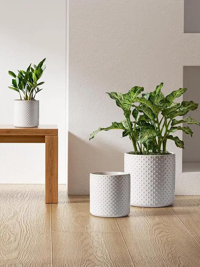 LE TAUCI 6+8+10 Inch Plant Pots Indoor, Ceramic Planter Pots for Plants, Raised Dots Flower Pots Indoor for Home and Office, Mid-Modern Century Pots with Drainage Hole and Plug, Glaze Arctic White by GreenHaven Gardens