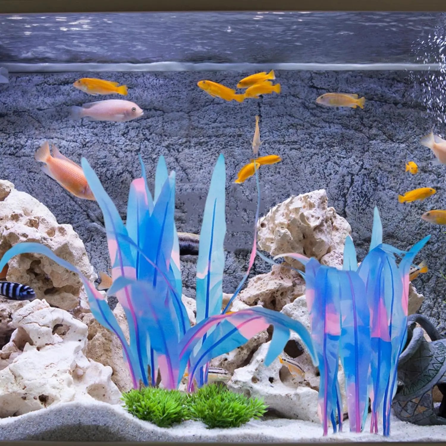 Kaiyuan Dynasty 2pc Silicone Aquarium Plants Artificial Plants for Fish Tank Glowing Kelp Aquarium Plant Decor Fish Tank Plants Simulation Artificial Water Grass,7inch,Blue by GreenHaven Gardens