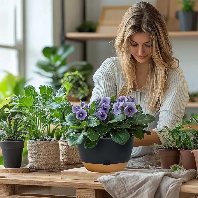 8 Inch Pots for Indoor Plants, Self Watering Planters with Drainage and Saucers, Plastic Outdoor Flower Pot, Set of 2, Grey by GreenHaven Gardens