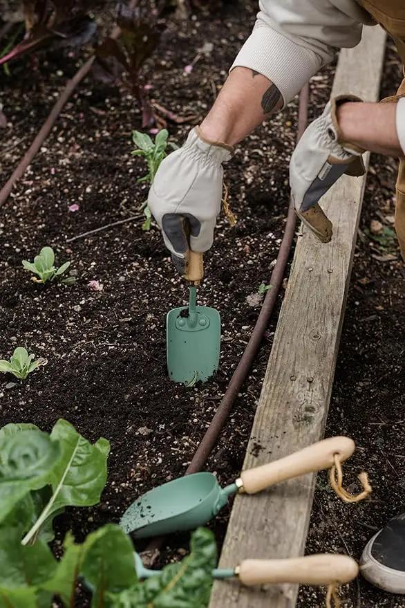 Barebones Garden Scoop - Garden Spoon - Stainless Steel Small Hand Shovel for Transplanting, Digging, and Planting - Great Home Gardening Hand Tools (Ash/Mint) by GreenHaven Gardens