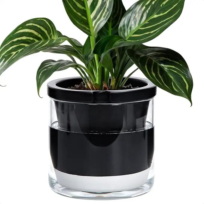 D'vine Dev 8 Inch Design Self Watering Planter for Indoor Plants, Black Terracotta Pot with Cylinder Glass Cup, 37-X-C-3 by GreenHaven Gardens