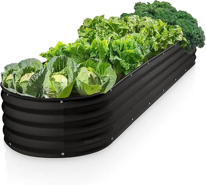 Galvanized Raised Garden Beds Outdoor // 8×2×1 ft Planter Raised Beds for Gardening, Vegetables, Flowers // Large Metal Garden Box (Black) // Patented Tool-Free Design by GreenHaven Gardens
