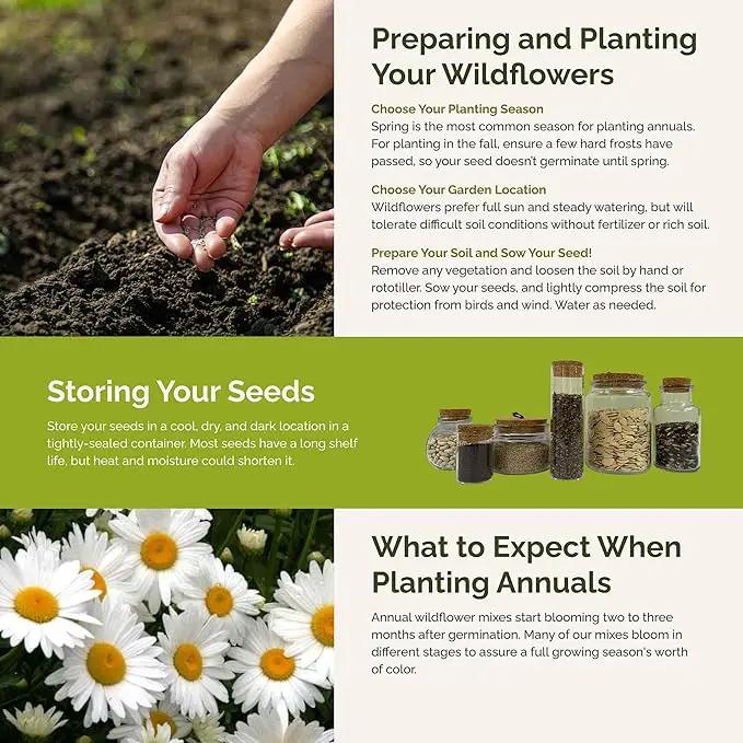 Eden Brothers Green with Envy Flower Mixed Seeds for Planting, 1/4 lb, 120,000+ Seeds with White Yarrow, Cornflower White | Attracts Pollinators, Plant in Spring or Fall, Zones 3, 4, 5, 6, 7, 8, 9, 10 by GreenHaven Gardens