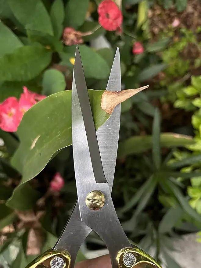 Japanese Garden Clippers, Houseplant plant shears, Floral Pruner Botanical Flower Stem scissors, Gardening Shears with Straight Stainless Steel Blades, Easy Use Garden Tools (golden-k26) by GreenHaven Gardens
