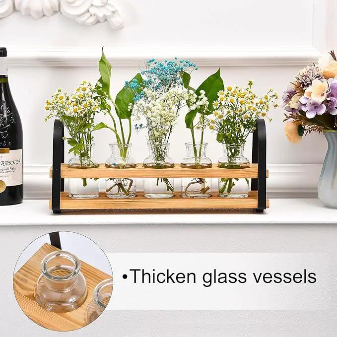 Plant Propagation Stations with Wood Stand, Desktop Plant Terrarium for Propagating Hydroponic, Flower Vase for Home Kitchen Office Decor, Plant Lover Gifts by GreenHaven Gardens