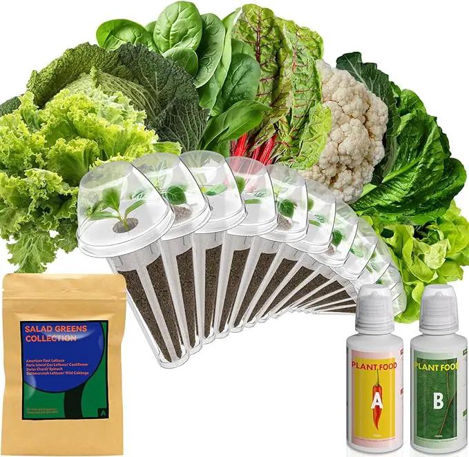 inbloom Salad Green Seed Pod Kit for AeroGarden, Ahopegarden, GARDENCUBE, MUFGA, 12 Pods (350+ Seeds with American Fast/Paris Island/Buttercrunch Lettuce, Swiss Chard, Spinach, Cauliflower, Cabbage) by GreenHaven Gardens