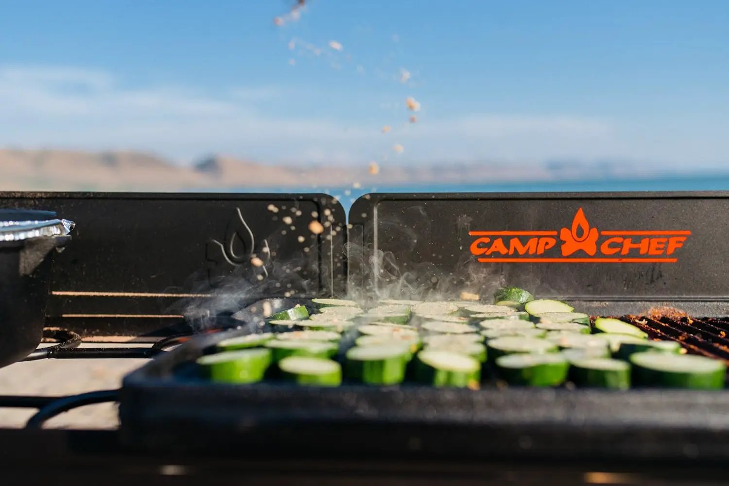 Camp Chef Reversible Pre-seasoned Cast Iron Griddle, Cooking Surface 16" x 24" by GreenHaven Gardens