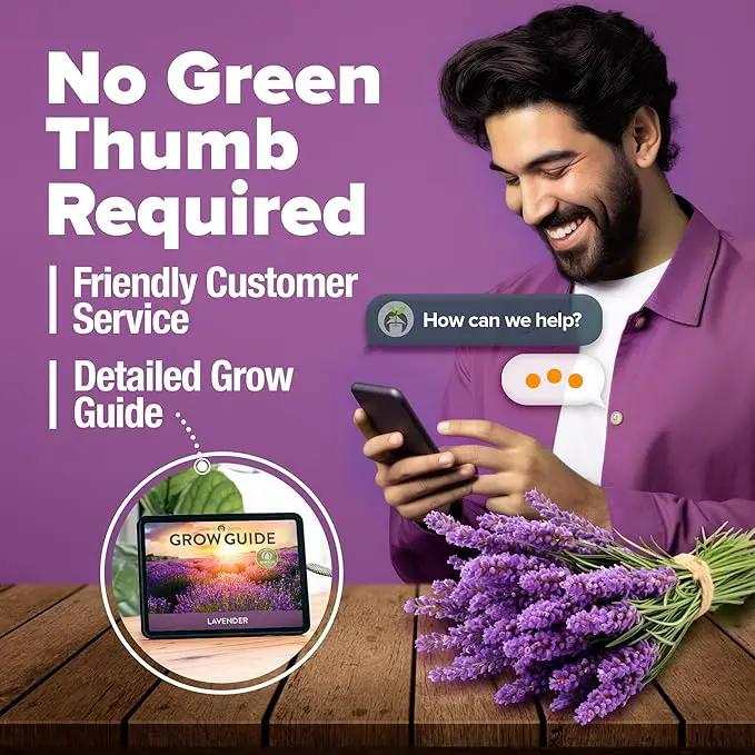 HOME GROWN 𝗨𝗦𝗔 𝗣𝗥𝗘𝗠𝗜𝗨𝗠 English Lavender Seeds 1,500+ 𝗡𝗢𝗡-𝗚𝗠𝗢 Wildflower Seed for Planting Indoor/Outdoor, High Germination, Plant Flower Seeds (Lavandula antustifolia) by GreenHaven Gardens