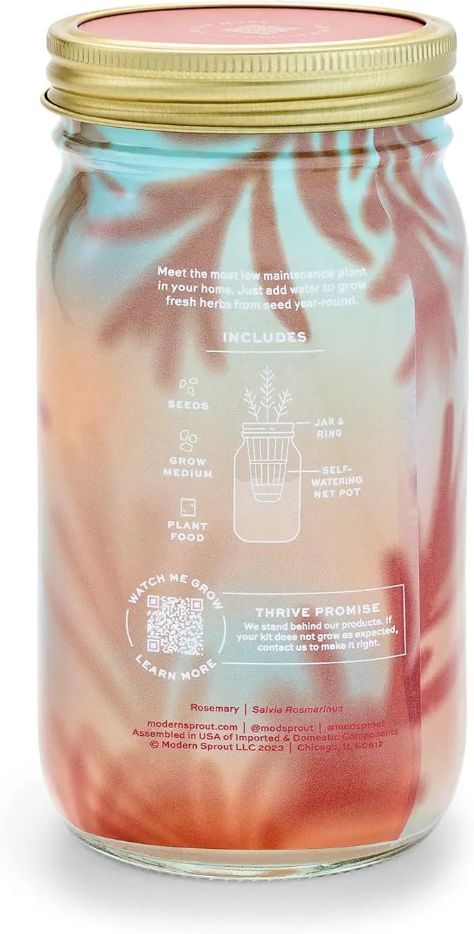 Modern Sprout Mason Garden Jar - Self-Watering Hydroponics Growing System Kit with Organic Herb Seeds - Jar Planter for Indoor Herb Garden - Seed Starter Kit - Home Decor & Gifting - Rosemary by GreenHaven Gardens
