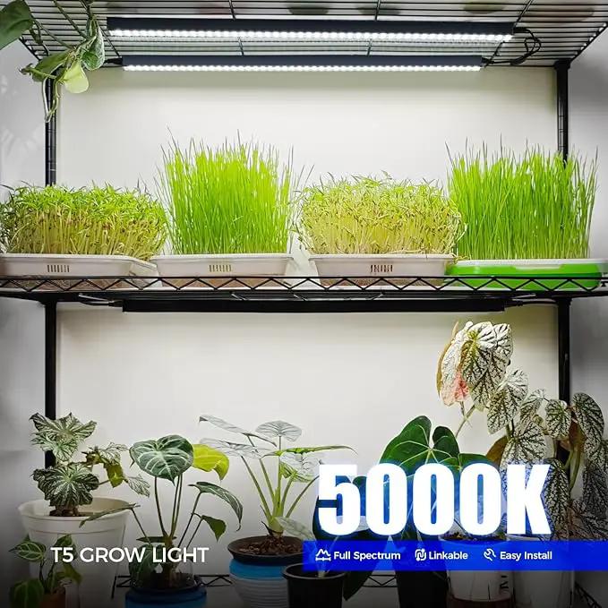 Barrina T5 Grow Lights for Indoor Plants, 2FT 80W(8 x 10W) Black Cover LED Plant Growing Lamp, Full Spectrum Grow Light Strip with Switch, Magnetic Installation, Plug and Play, 5000K, 8 Packs by GreenHaven Gardens