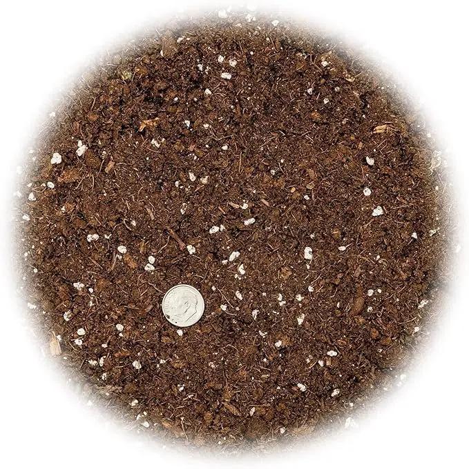 Premium Dracaena Potting Soil Mix - (20 Quart Bag) by GreenHaven Gardens