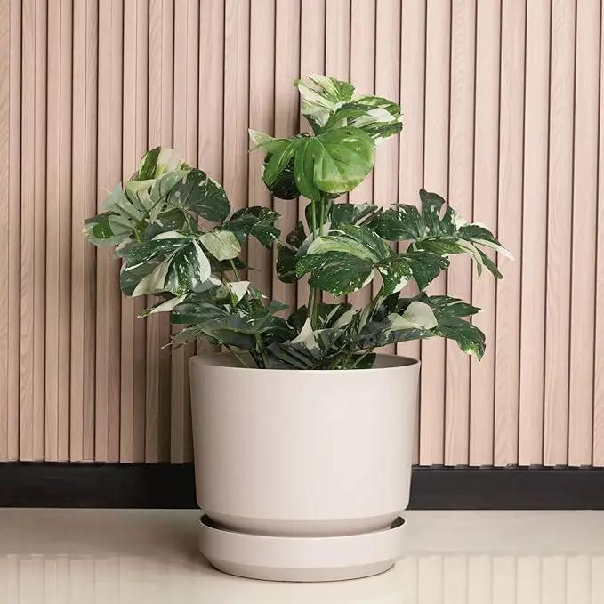 Elly Décor 14 inch Plastic Cylinder Planter Pot with Self-Watering Saucer and Drainage Hole,Lightweight & Extremely Durable, 14"x 14", Ivory by GreenHaven Gardens