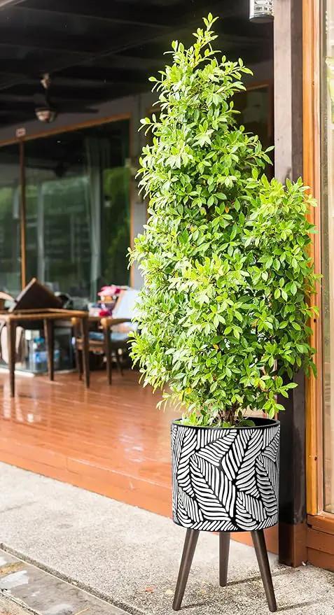 D'vine Dev 12 Inch Planter Pot with Stand, Mid-Century Tall Plant Pot with Legs for Indoor Plants, Large, White/Grey, 88-L-C-7 by GreenHaven Gardens