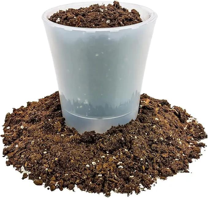Money Tree Potting Soil, Soil Mix for Planting or Repotting Guiana Chestnut, Soil Blended to Properly Grow Money Tree Plants - (2 Quart Bag) by GreenHaven Gardens