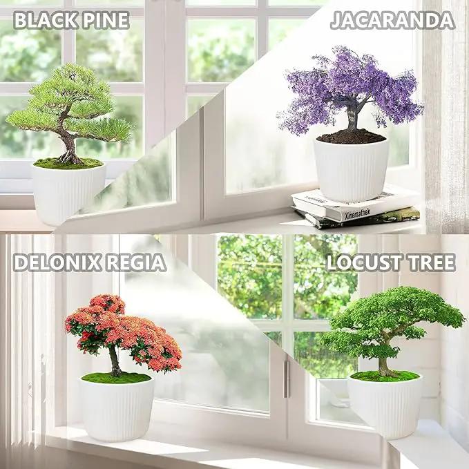 Bonsai Tree Kit, Wooden Gift Box Indoor Bonsai Tree Starter Kit with Tools & Japanese Plants Seeds, Growing DIY Gardening for Plant Lovers (Plant Lover Gift) by GreenHaven Gardens