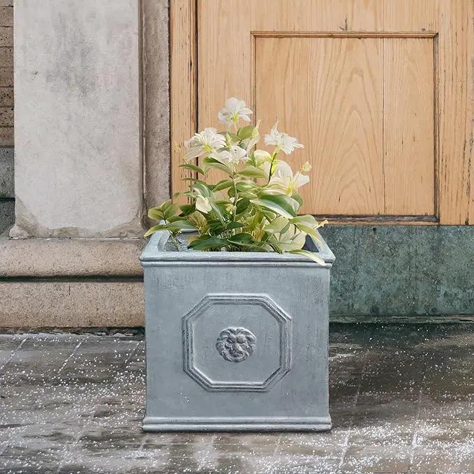 Kante Square Lion Head Concrete Planter, Classic English Style Plant Pot with Drainage Hole and Rubber Plug for Indoor Outdoor Garden Patio Home, 10.2"x10.2"x 10.2" Antique Gray by GreenHaven Gardens