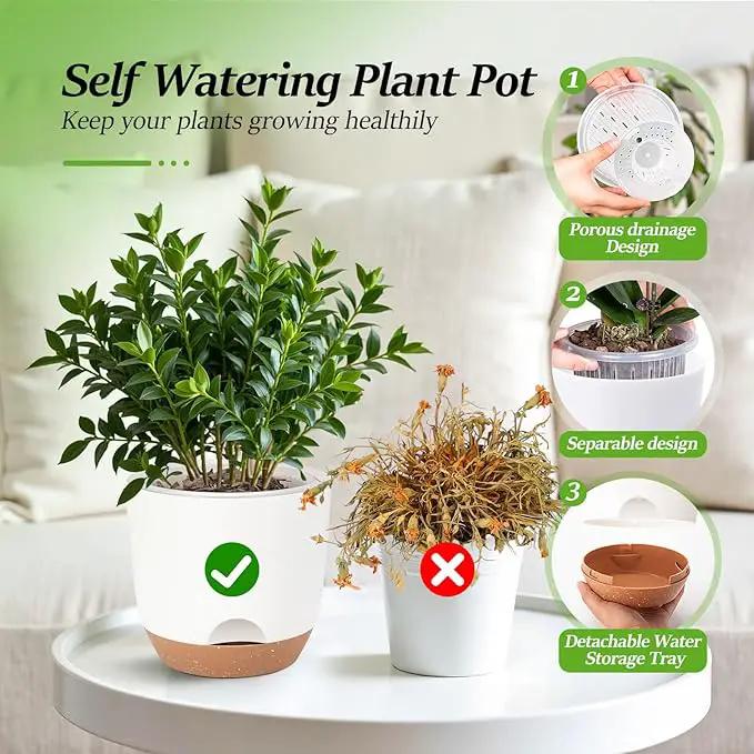 5.8 Inch Self Watering Planters for Indoor Plants with Bottom Watering,2Pack Flower Plant Pots for Outdoor with Drainage, Durable Plastic planters Pots(White) by GreenHaven Gardens
