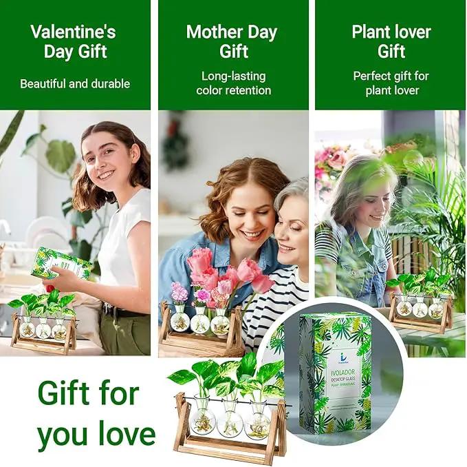 Ivolador Plant Propagation Station,Bulb Plant Terrarium with Wooden Stand,Unique Gardening Gifts for Women Plant Lovers,Hydroponic Indoor Planter Home Office Garden Wedding Decor-3 Bulb Glass Vases by GreenHaven Gardens