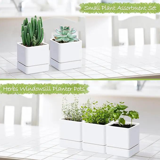 4 Inch Herb Planter Pot, Plastic Planter with Drainage Holes and Saucer, Modern Decorative Gardening Pot for Indoor Plants, Flowers, Herbs, Succulents, White, Set of 3, 76-Y-A-3 by GreenHaven Gardens