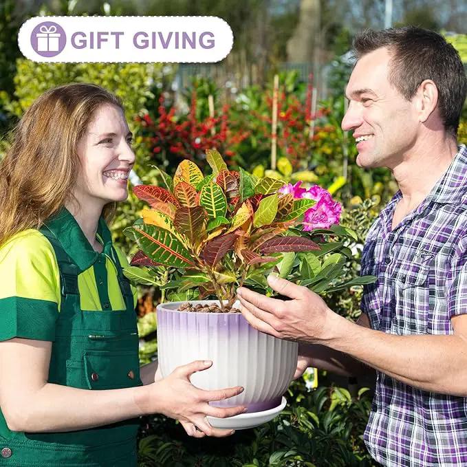 8 Inch Plant Pot, Ceramic Planter with Drainage and Saucer, Ceramic Pots for Plants, Indoor Plant pots,Ceramic Flower pots(Purple + White, Plants NOT Included) by GreenHaven Gardens