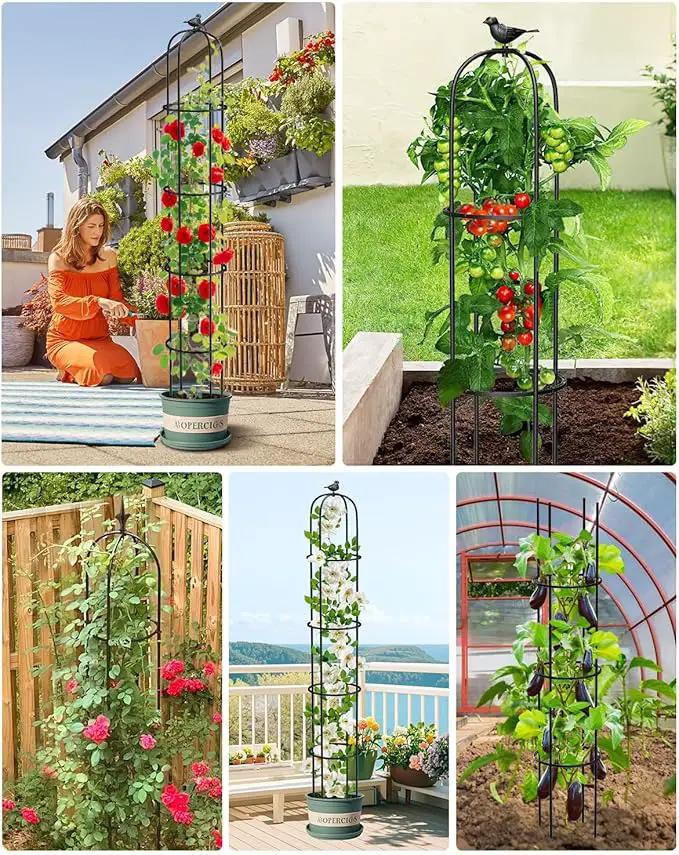 2 Pcs Garden Trellis for Climbing Plants, 6.2 Ft Rustproof Metal Pipe with Heavy Duty Plastic Coated, Garden Outdoor Indoor Potted Plant Support, Obelisk Garden Trellis for Climbing Vine by GreenHaven Gardens