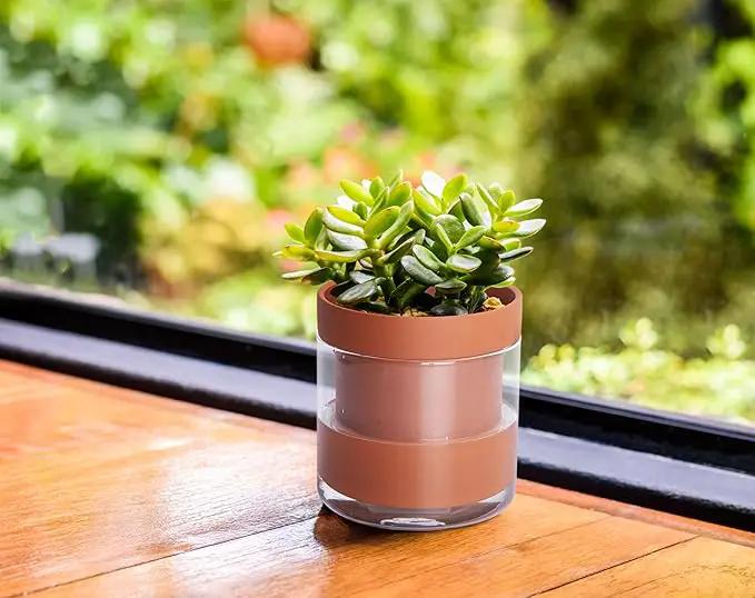 Phoenix Vine 4 Inch Self Watering Planter Pot, Terracotta Clay Pot with Glass Reservoir for Indoor Plants, Herbs, Flowers, Set of 4, 52-A-E-4 by GreenHaven Gardens