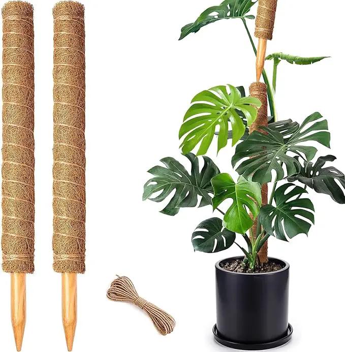 2 Pack 21 Inch Moss Poles, Stackable Moss Pole for Plants Monstera, 37 Inch Tall Moss Poles for Climbing Plants Indoor, Coir Totem Plant Support Stakes Stand for Potted Plants, Pothos by GreenHaven Gardens