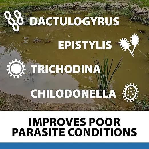 CrystalClear ParaSalt Outdoor Pond & Water Garden Rock Salt Crystals, Anti Fish Parasite, Beneficial Stress Reducing & Slime Coat Treatment, Natural Aquatic Additive, Koi, Plants & Pet Safe, 10 lbs by GreenHaven Gardens