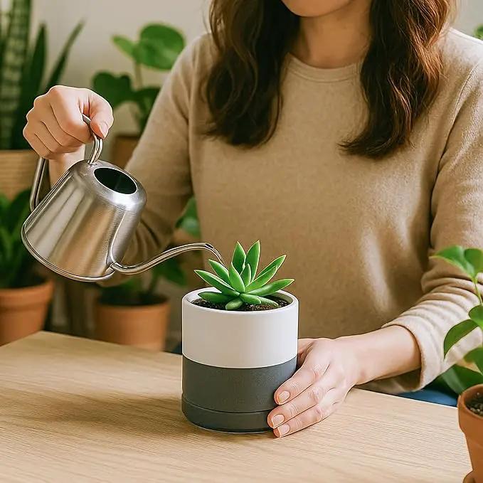 D'vine Dev Set of 4 Small Ceramic Plant Pots, 3.5 Inch Succulent Planter Pot for Plants with Drainage Hole and Saucer, White/Speckled Grey, 94-X-A-6 by GreenHaven Gardens