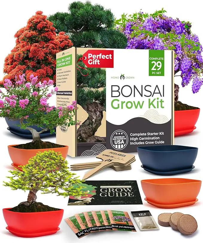Bonsai Tree Kit - Gifts for Men & Women (Master Kit) by GreenHaven Gardens