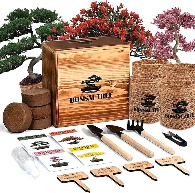 Bonsai Garden Starter Kit, 4 Seeds Growing into Sakura, Ginkgo, Black Pine, Red Flame, Including Complete Gardening Tools & A Wooden Box with Cover, Christmas Gifts for Men Women Beginners by GreenHaven Gardens