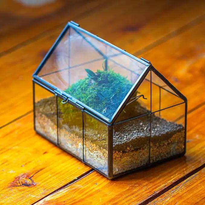NCYP Mini Glass Terrarium with Lid - 6.1" x 4.25" x 4.92" House Shape Closed Planter Pot for Small Cactus, Succulents Plant - Home Garden Office Tabletop Geometric Decor, Black (Terrarium Only) by GreenHaven Gardens