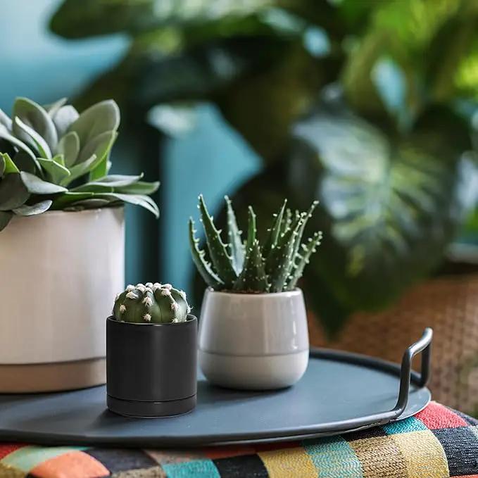 D'vine Dev 3.5 Inch Ceramic Planter Pot with Drainage Hole and Saucer, Indoor Cylinder Round Planter Pot, Black, 94-O-A-2 by GreenHaven Gardens