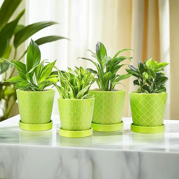 EFISPSS 5 Inch Ceramic Plant Pots Indoor, Planters with Drainage Holes and Ceramic Tray, Relief Design Flower Planter，Desktop Office Windowsill Decoration Gift Set of 4 - Green by GreenHaven Gardens