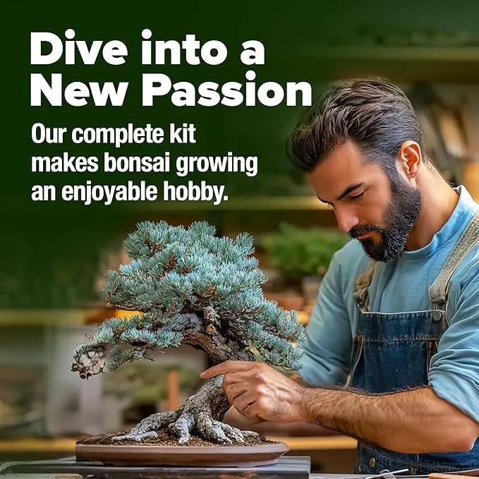 Bonsai Tree Kit - Gifts for Men & Women - Grow 4 Bonsai Trees - Unique Gardening Crafts for Adults, DIY Hobbies for Plant Lovers & Gardeners - Unusual Christmas Gift Ideas for Mom & Dad by GreenHaven Gardens