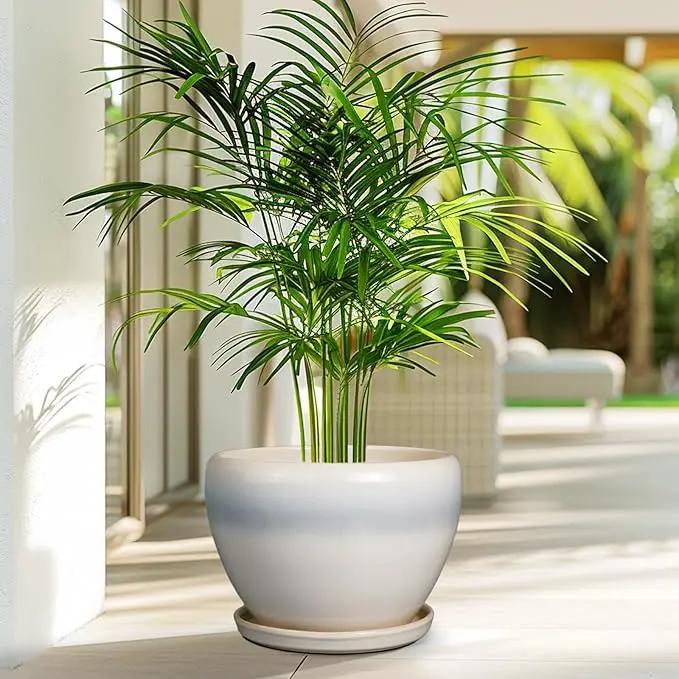 10 Inch Ceramic Planter Pot - Large Plant Pot with Drainage Hole and Saucer Round Flower Pot for Indoor Plants, White by GreenHaven Gardens