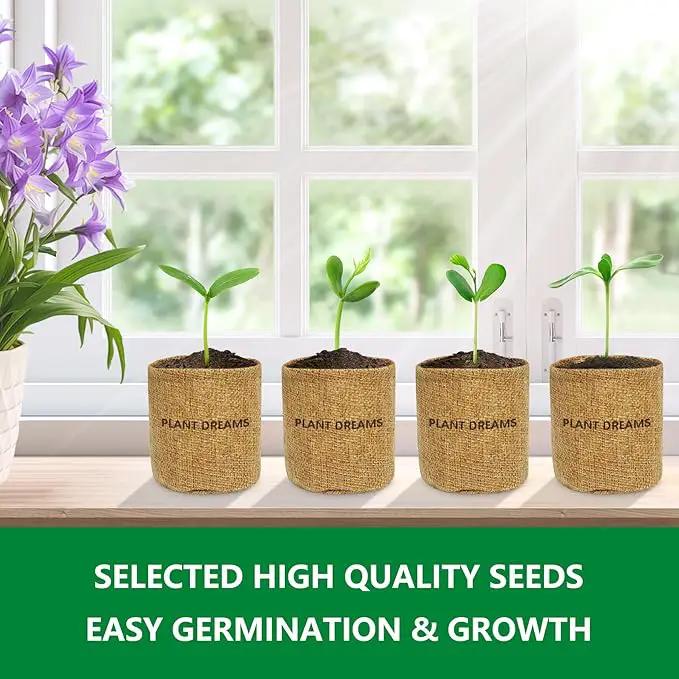 Bonsai Tree Kit – DIY Japanese Bonzai Trees with All-in-One Indoor Plant Growing Tools & Planters – Unique Gardening Gifts for Women, Men & Kids by GreenHaven Gardens