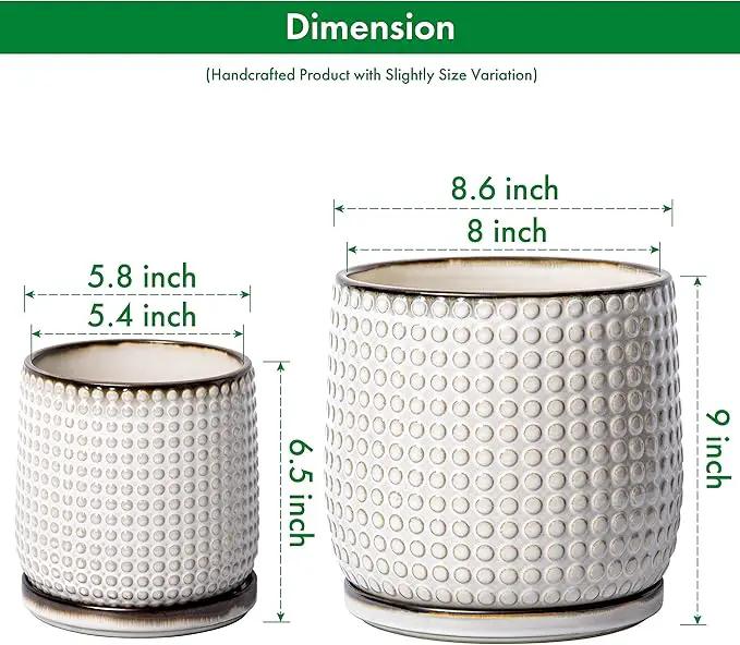 D'vine Dev 8 Inch 6 Inch Ceramic Indoor Planter Pots with Drainage Hole and Saucer, Beaded Design Flower Pots, Set of 2, Smoked White, 27-D-P-1 by GreenHaven Gardens