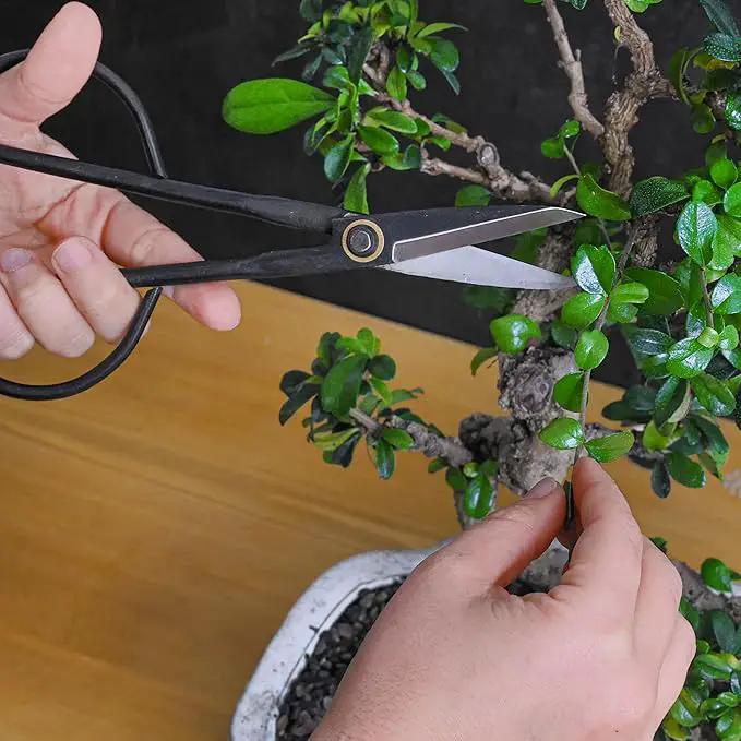 Professional Bonsai Slim Scissors | Pruning Shears for Trimming Plants | Japanese Gardening, Bonsai Tools | Garden Scissors by GreenHaven Gardens
