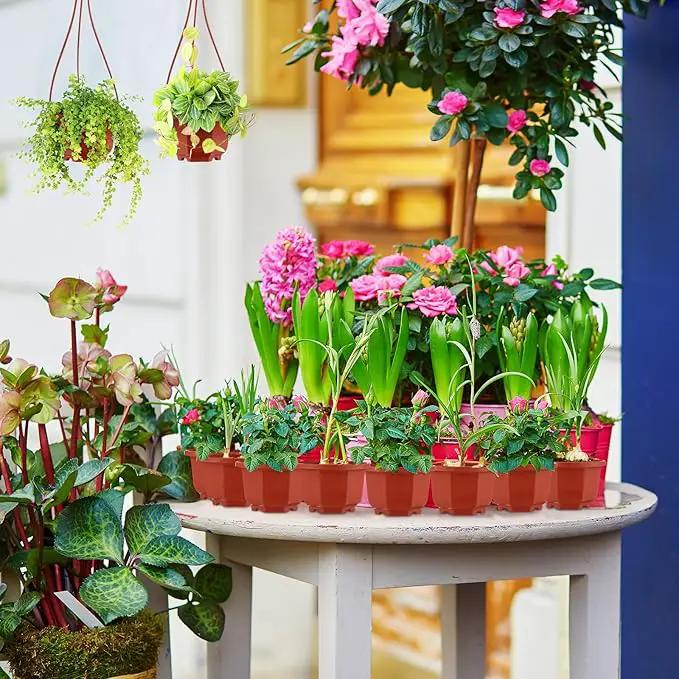 Roshtia 24 Pcs Hanging Plastic Planter Pot with Hook Flower Pots Baskets Hanging Nursery Planter Holder for Outdoor Indoor Plant Garden(Brown,3.7 Inch) by GreenHaven Gardens