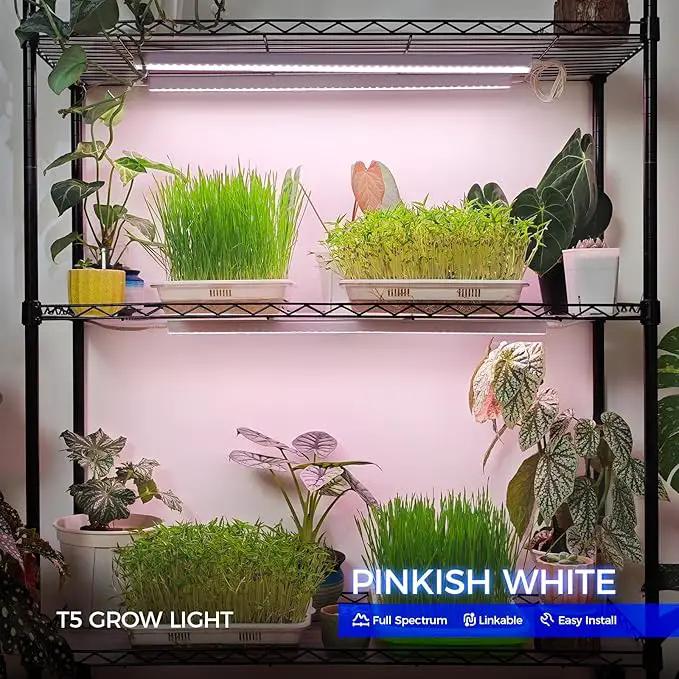 Barrina Grow Lights for Indoor Plants, Full Spectrum Sunlight, 2ft 40W (4 x 10W, 250W Equivalent), LED Grow Light Bulbs, T5 Grow Lights, Plug and Play, Pinkish White, 4-Pack by GreenHaven Gardens
