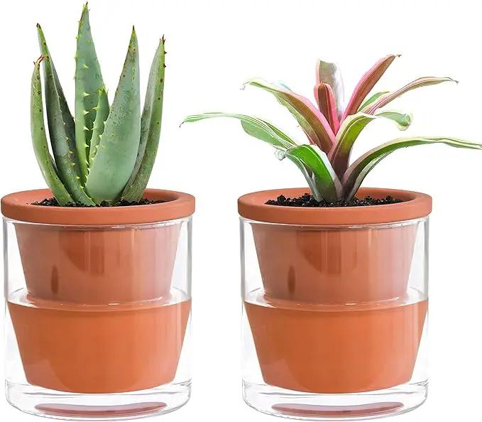 D'vine Dev 4 Inch Design Self Watering Pot for Indoor Plants, Terracotta Planter with Cylinder Glass Cup, Set of 2, 37-X-A-2 by GreenHaven Gardens