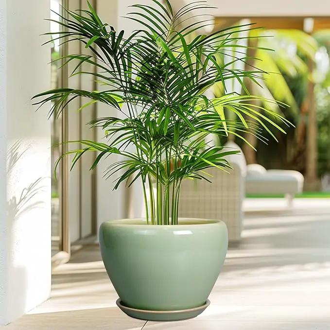 Ceramic Planter Pot - 10 Inch Plant Pot for Indoor Plants Decorative Planter with Drainage Hole and Saucer Large Pot for Plants Outdoor Round Flower Pot for Garden Green by GreenHaven Gardens
