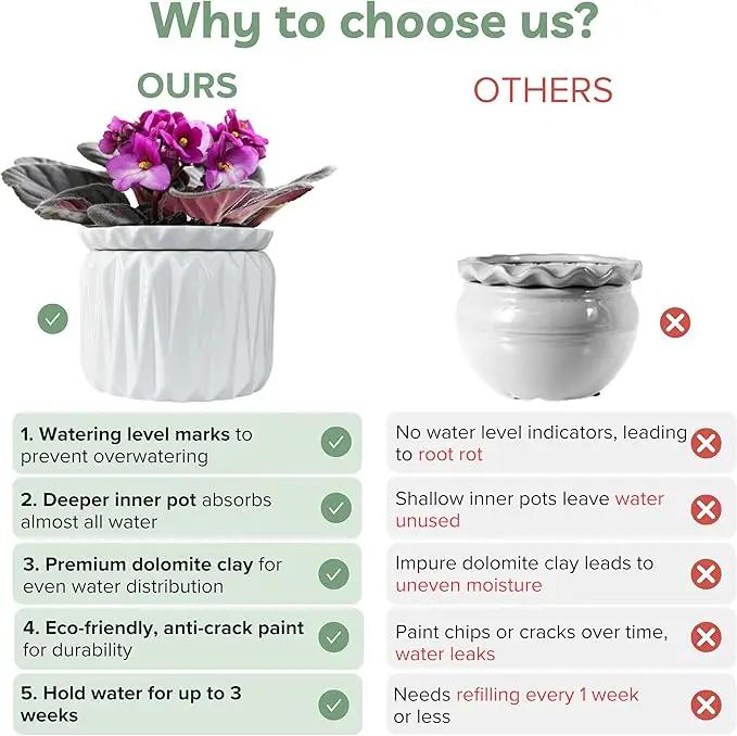 6 inch Self Watering Pot for Indoor Plants, African Violet Pot Ceramic, Flowers Planter (4 inch Opening), Holds 3 Weeks of Water (1 Pack) by GreenHaven Gardens